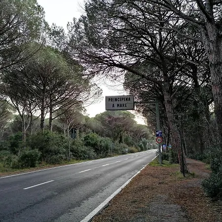 Stella Marina