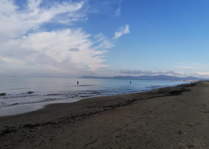 Stella Marina 아파트 *